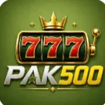pak500 Game
